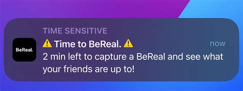 time to bereal notification|⚠️Time to BeReal.⚠️